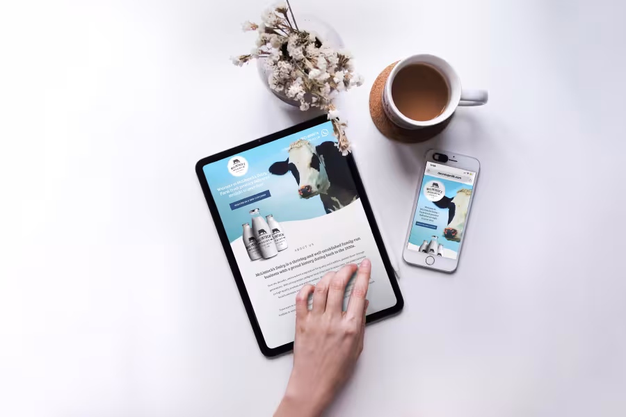 McLintock’s Dairy - Web Design Client - Denshaw, Saddleworth,  Oldham, OL3 5SB - Cow